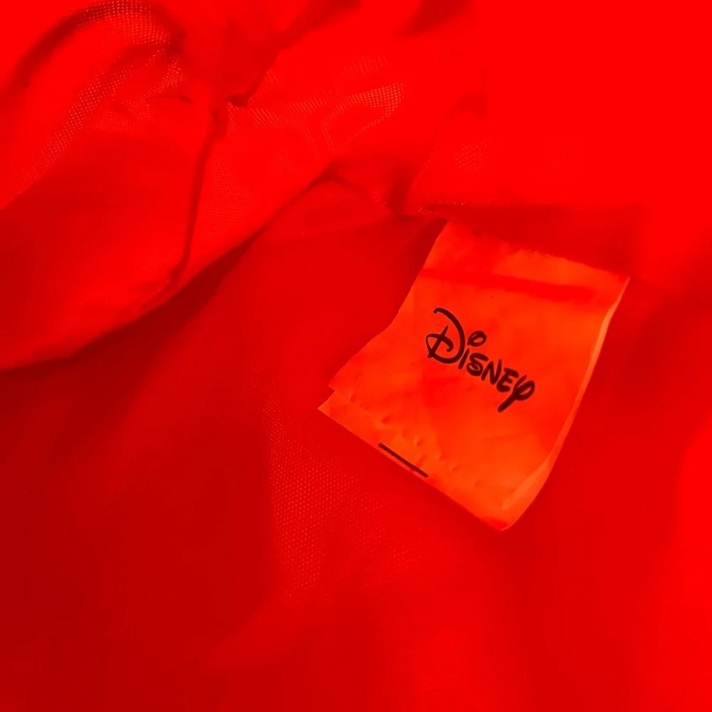 Disney mickey mouse